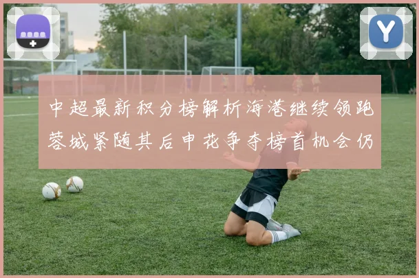中超最新积分榜解析海港继续领跑蓉城紧随其后申花争夺榜首机会仍在